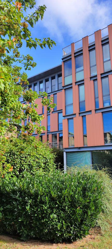 Bureau Lyon 4247m² Vente bureau Lyon Rhône OVBUR2427532 7
